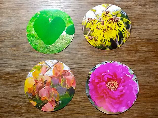 Heilen mit Zeilen - Annette Müller